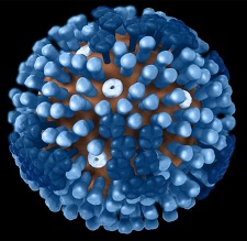Illustration av influensavirus